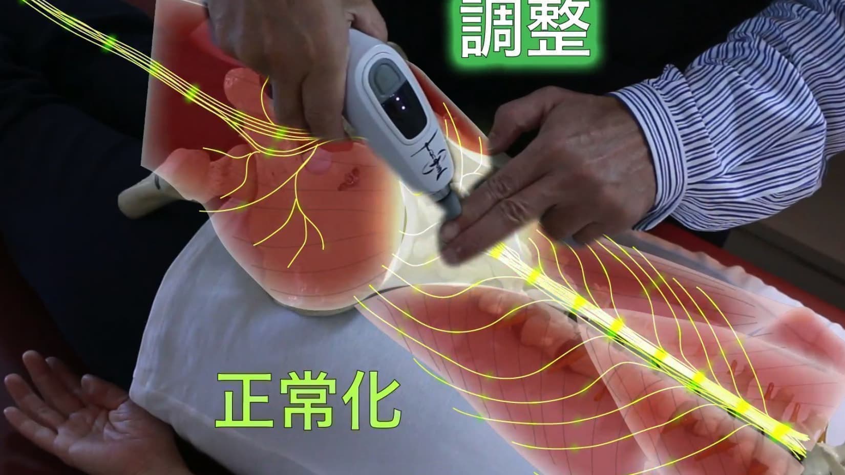 After adjustments of spine｜Normalized nervous system and muscles｜Family Chiropractic Center｜Fukuoka