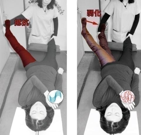 マッスルテスト｜レッグテスト｜反応部位を押さえて検査｜ファミリーカイロプラクティックセンター福岡