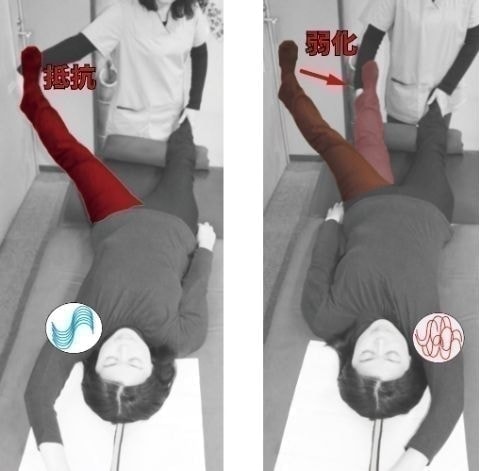 マッスルテスト｜レッグテスト｜動きをイメージして検査｜ファミリーカイロプラクティックセンター福岡