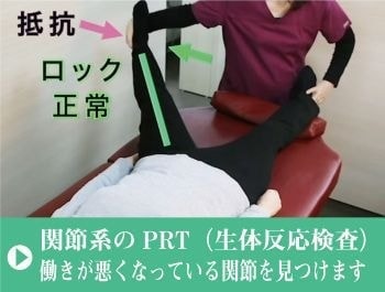 関節系の検査｜働きが悪くなっている関節を見つけます｜ファミリーカイロプラクティックセンター福岡