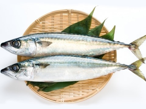 食物アレルギー｜潜在的な感情｜ファミリーカイロプラクティックセンター福岡