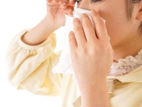 花粉症｜本質的な治療｜ファミリーカイロプラクティックセンター福岡