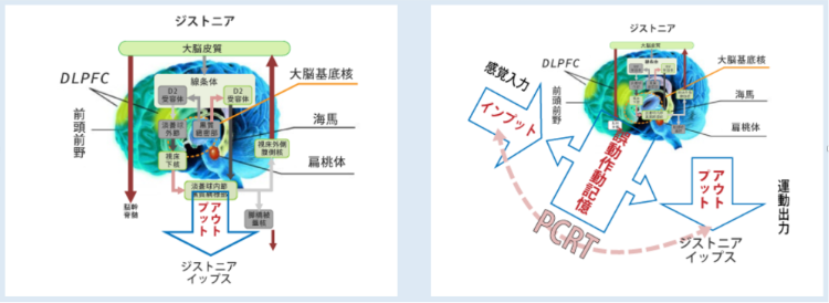 イップスの治療｜西洋医学とPCRTの違い｜ファミリーカイロプラクティックセンター福岡