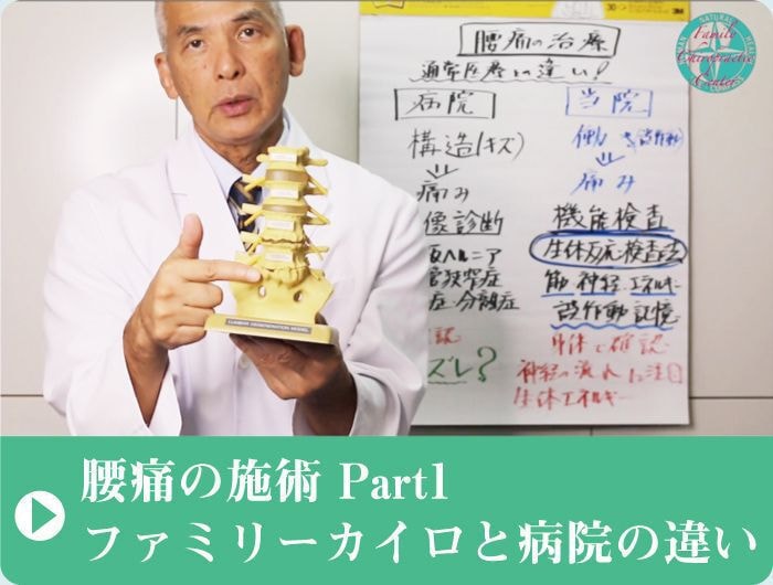 腰痛の施術｜病院との違い｜ファミリーカイロプラクティックセンター福岡