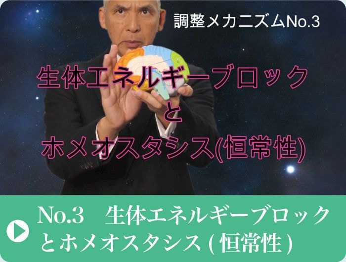 生体エネルギーブロック｜恒常性ホメオスタシス｜ファミリーカイロプラクティックセンター福岡