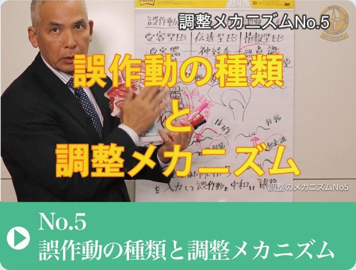調整メカニズム｜誤作動の種類｜ファミリーカイロプラクティックセンター福岡