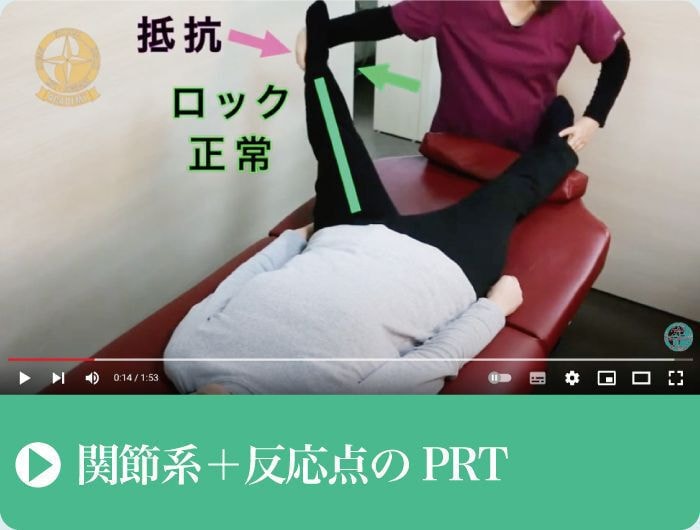 PRT｜関節系｜反応点｜ファミリーカイロプラクティックセンター福岡