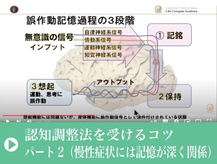 認知調整法を受けるコツ｜慢性症状｜記憶｜ファミリーカイロプラクティックセンター福岡